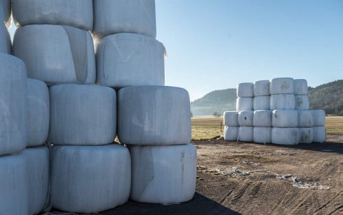 FORSVINNER: Bønder på Østlandet opplever nå at rundballer blir borte på uforklarlig vis. (Foto: Jo Stenersen/Landbruksforsikring) 