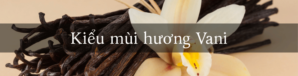 kieu-mui-huong-Vani.png